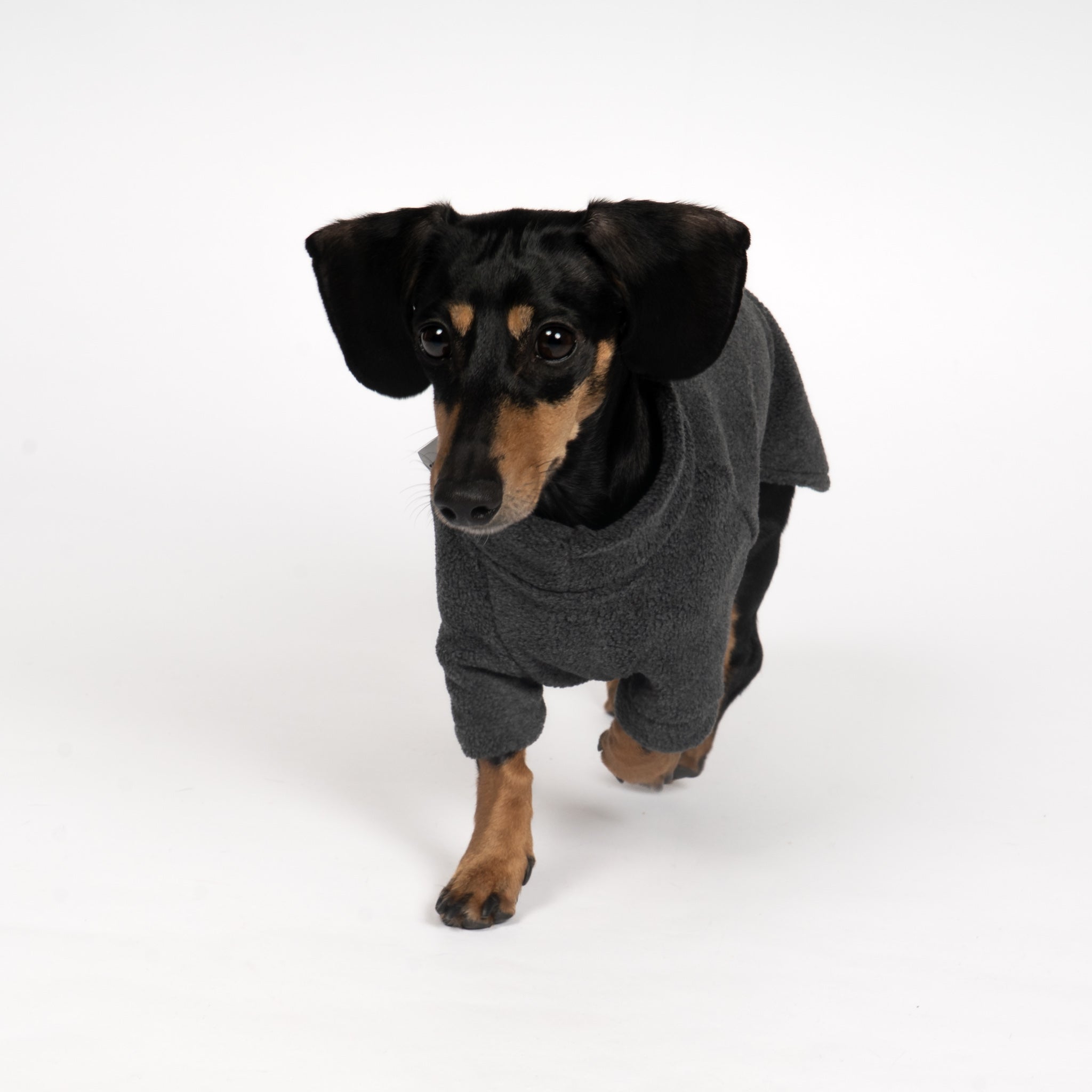 PULLOVER Dackel Anthrazit