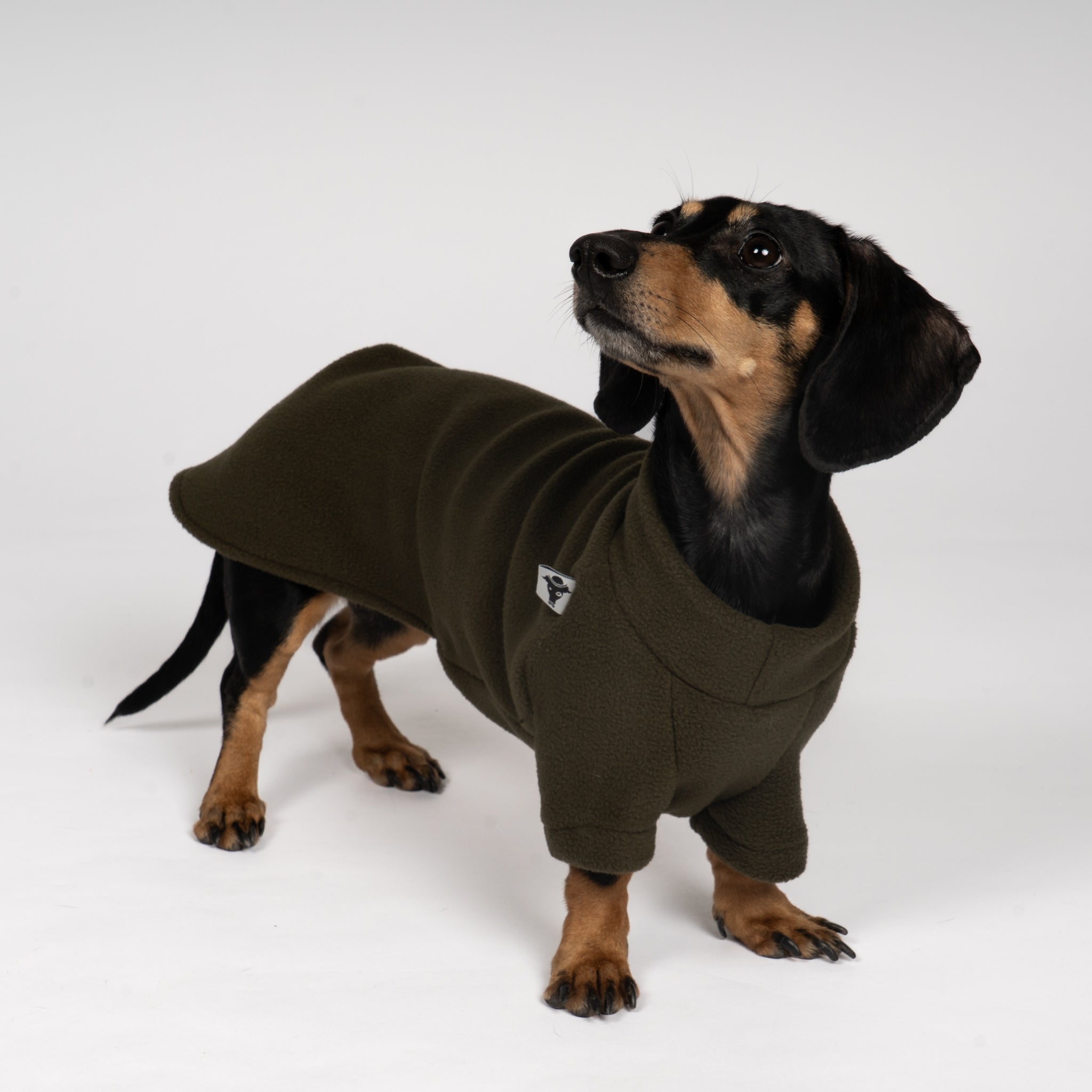 PULLOVER Dackel Dark Olive