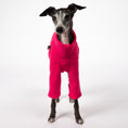 Bild in Galerie-Betrachter laden, Pullover Iggy Magenta – Close-up am Hund – hochwertige Hundekleidung von Karma Hund
