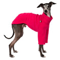 Bild in Galerie-Betrachter laden, Pullover Iggy Magenta – hochwertige Hundekleidung für Dackel, Windspiele und Windhunde von Karma Hund Berlin – Ganzkörperansicht am Hund
