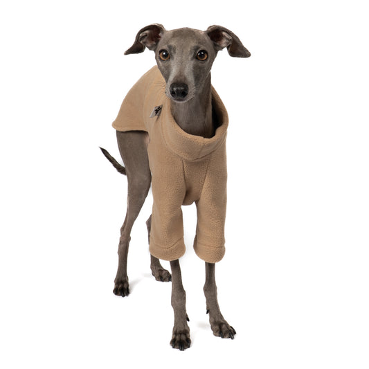 Pullover Iggy Camel – Close-up am Hund – hochwertige Hundekleidung von Karma Hund