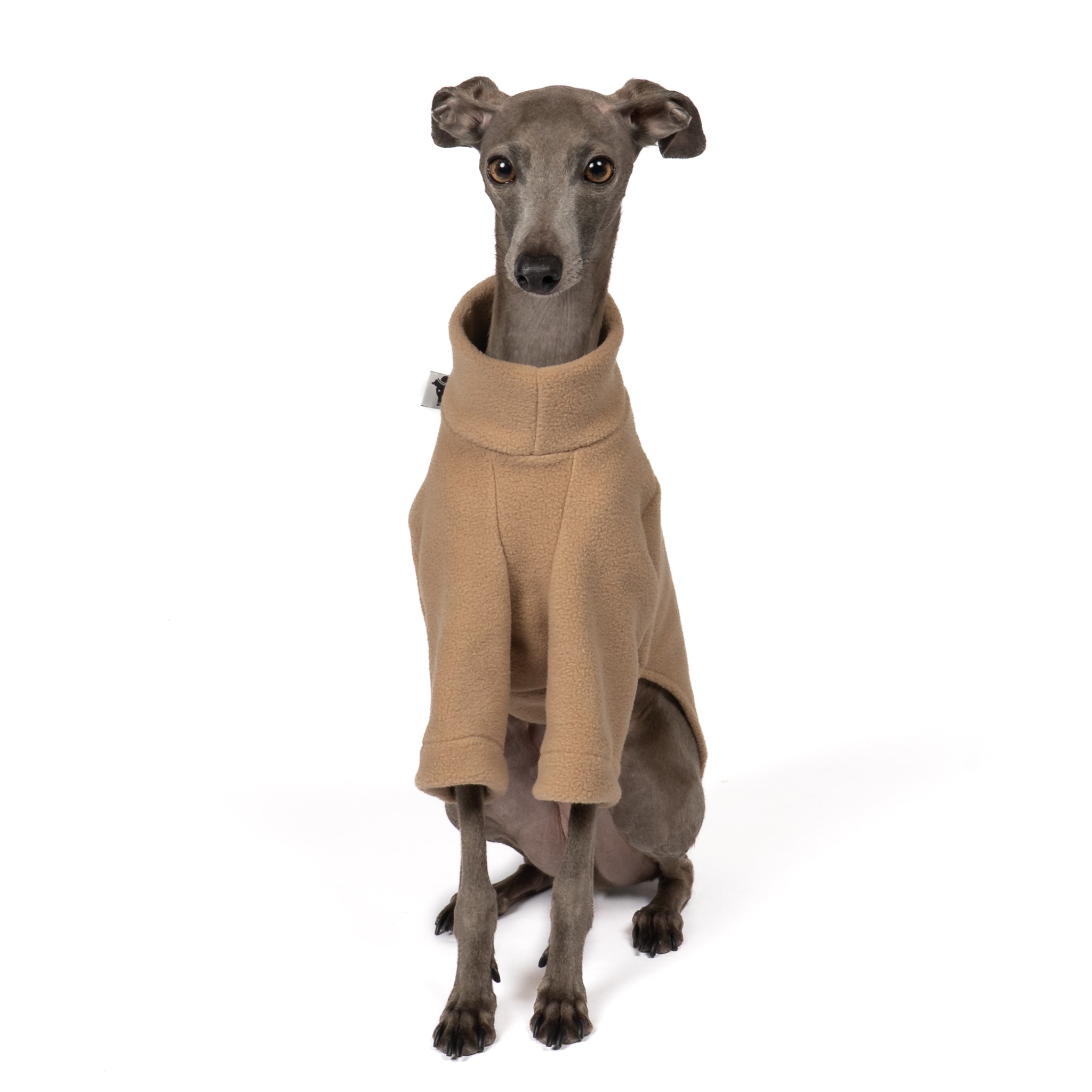 PULLOVER Iggy Camel