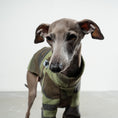 Bild in Galerie-Betrachter laden, Pullover Iggy Camouflage – Close-up am Hund – hochwertige Hundekleidung von Karma Hund
