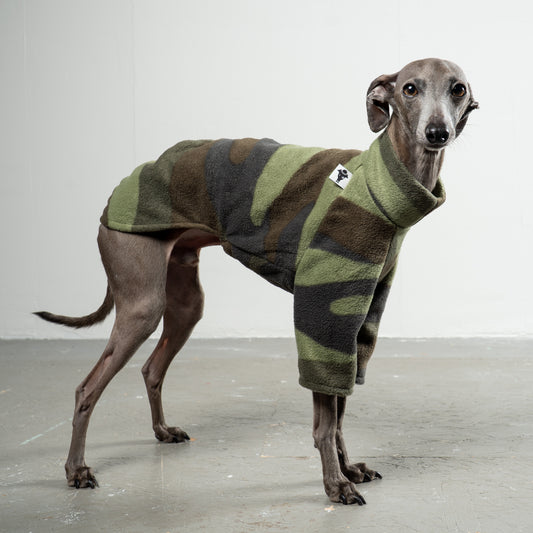 Pullover Iggy Camouflage – hochwertige Hundekleidung für Dackel, Windspiele und Windhunde von Karma Hund Berlin – Ganzkörperansicht am Hund