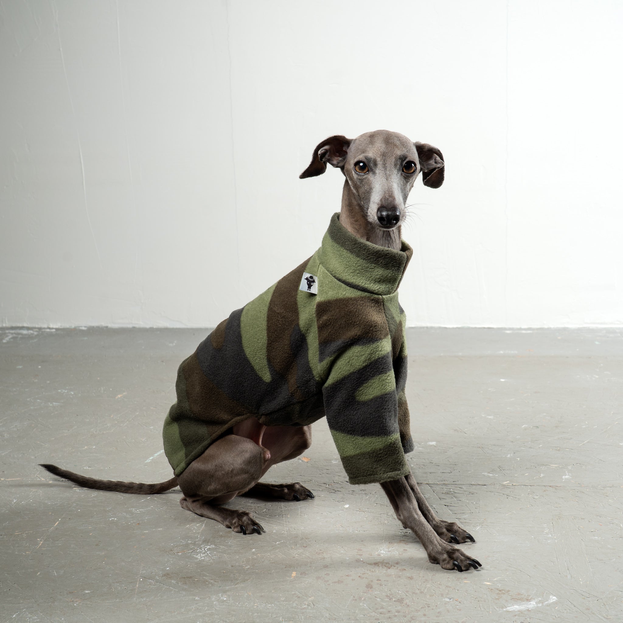 Pullover Iggy Camouflage – Hundepullover und Hundekleidung für Dackel und Windspiele – Seitenansicht am Hund
