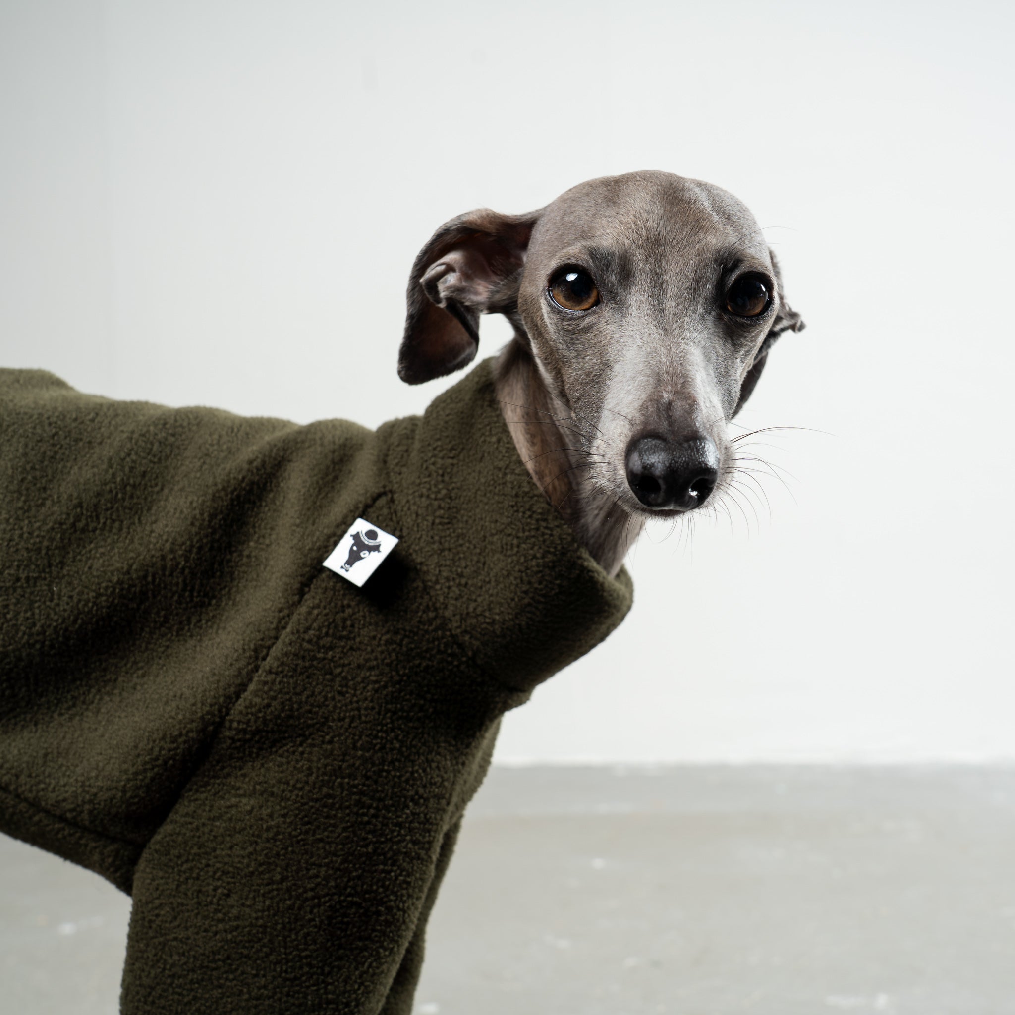 Pullover Iggy Dark Olive – Detailaufnahme Stoff und hochwertige Verarbeitung – Karma Hund Berlin