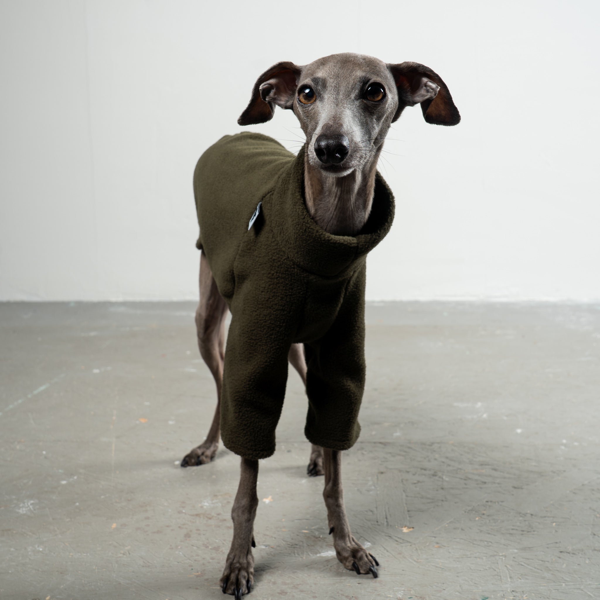 Pullover Iggy Dark Olive – ergonomischer Schnitt für Dackel und Windspiele – handgefertigte Hundekleidung