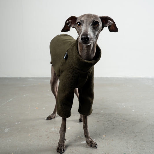 Pullover Iggy Dark Olive – ergonomischer Schnitt für Dackel und Windspiele – handgefertigte Hundekleidung