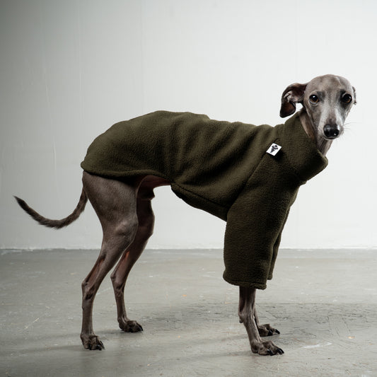 Pullover Iggy Dark Olive – hochwertige Hundekleidung für Dackel, Windspiele und Windhunde von Karma Hund Berlin – Ganzkörperansicht am Hund