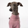 Bild in Galerie-Betrachter laden, Pullover Iggy Mulberry – Close-up am Hund – hochwertige Hundekleidung von Karma Hund
