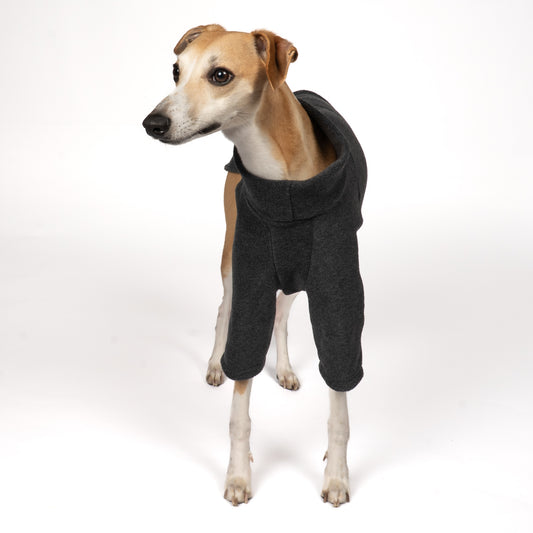 Pullover Windhund Anthrazit – Close-up am Hund – hochwertige Hundekleidung von Karma Hund