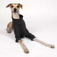 Bild in Galerie-Betrachter laden, PULLOVER Windhund Anthrazit
