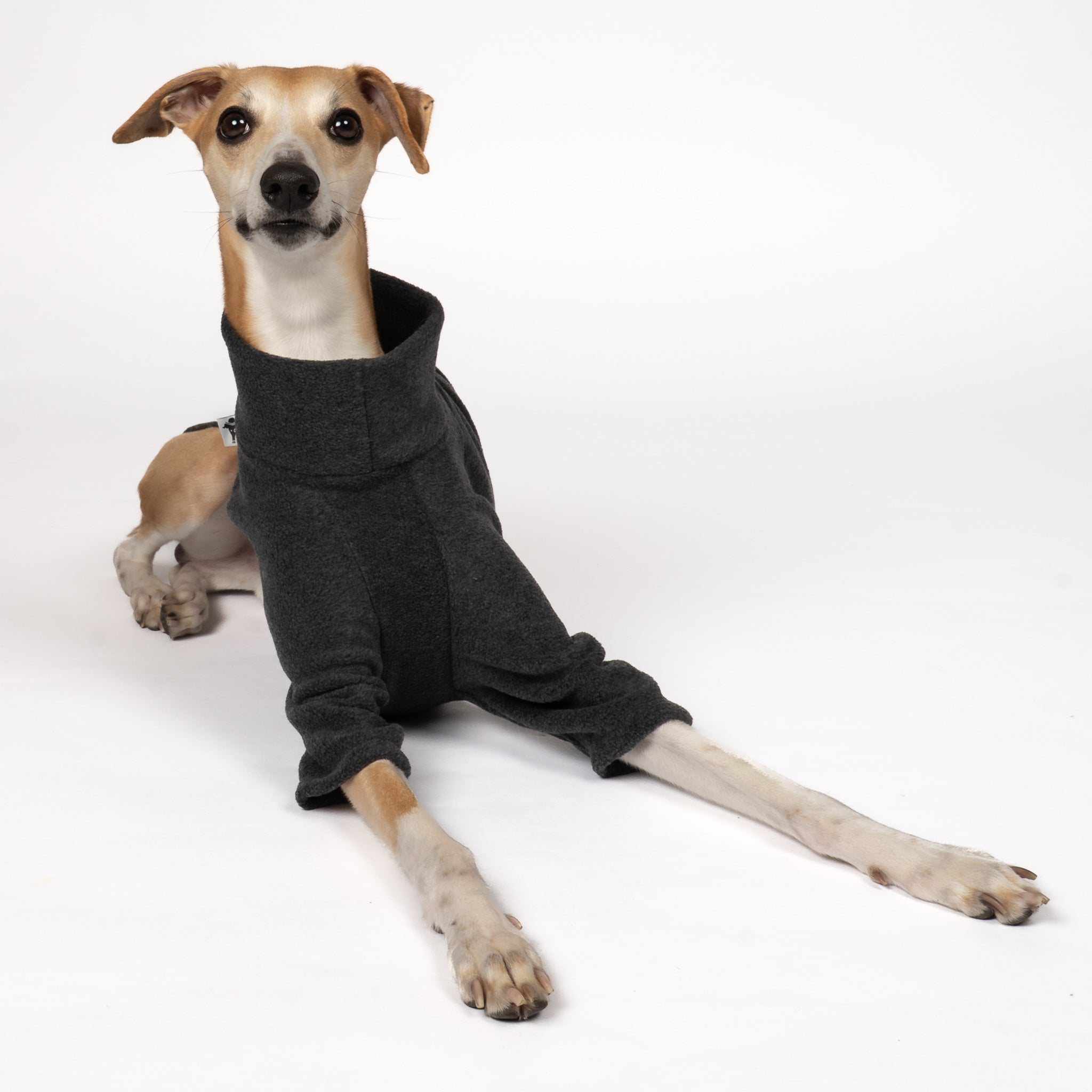 PULLOVER Windhund Anthrazit