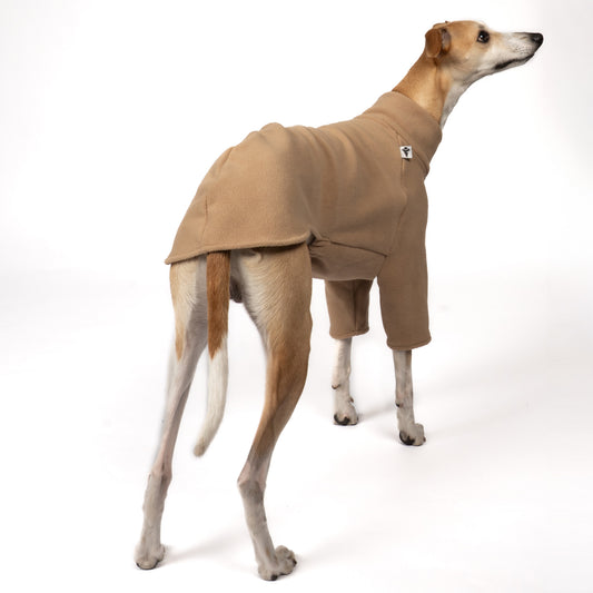 Pullover Windhund Camel – Hundekleidung für Dackel, Windspiele und Whippets – Rückenansicht