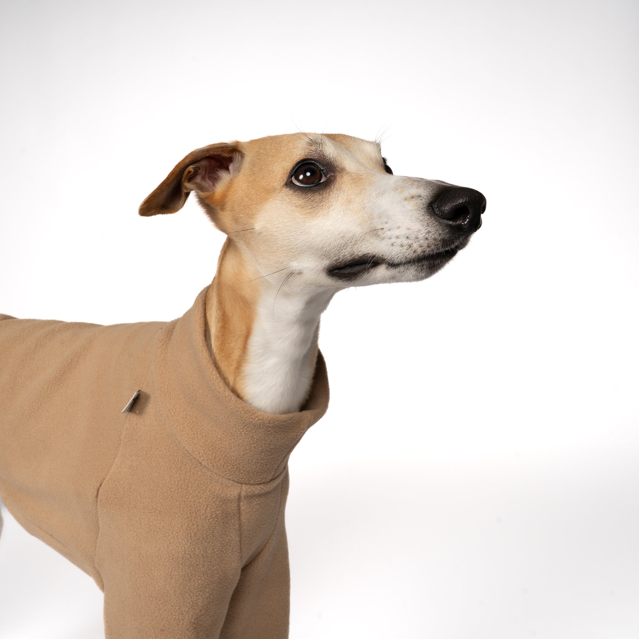 PULLOVER Windhund Camel