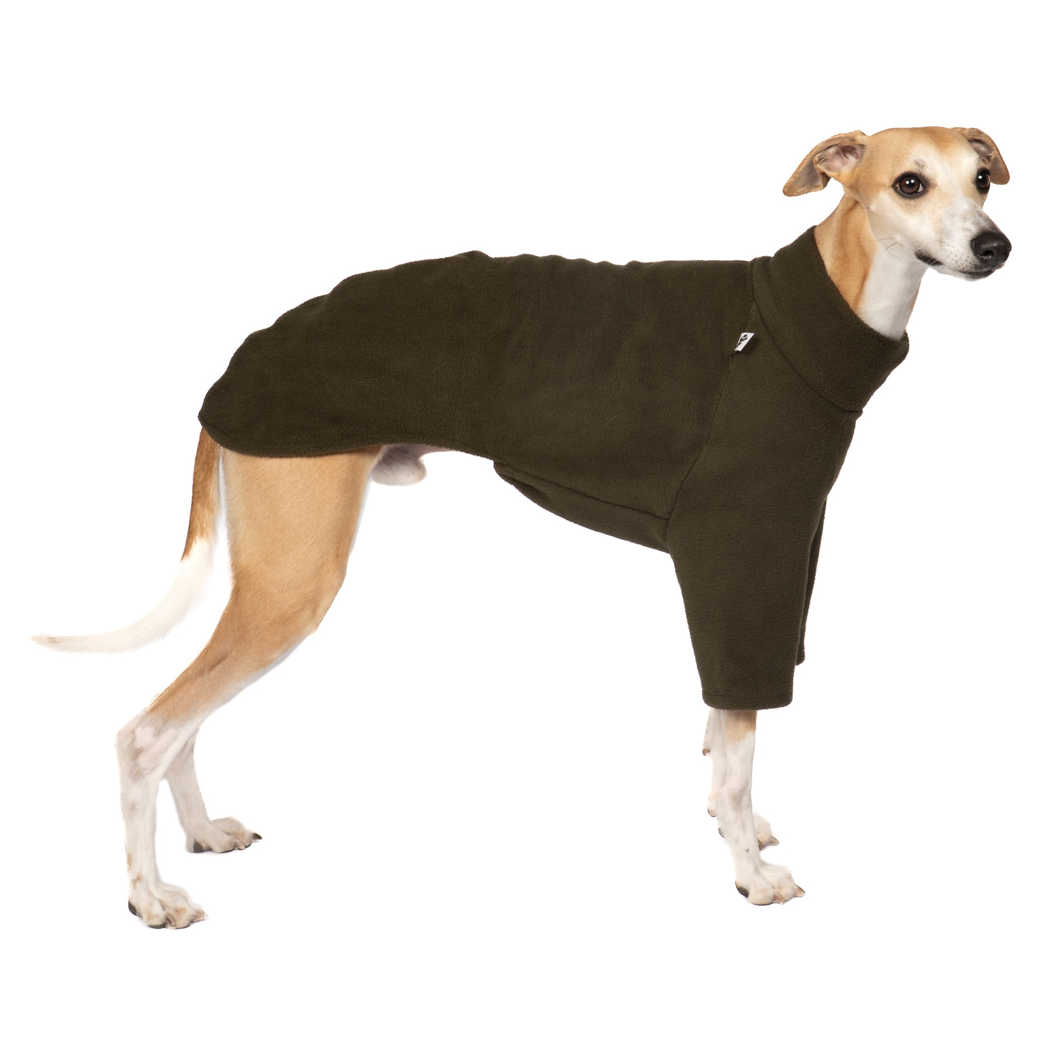 Pullover Windhund Dark Olive – Hundepullover und Hundekleidung für Dackel und Windhunde – Seitenansicht am Hund
