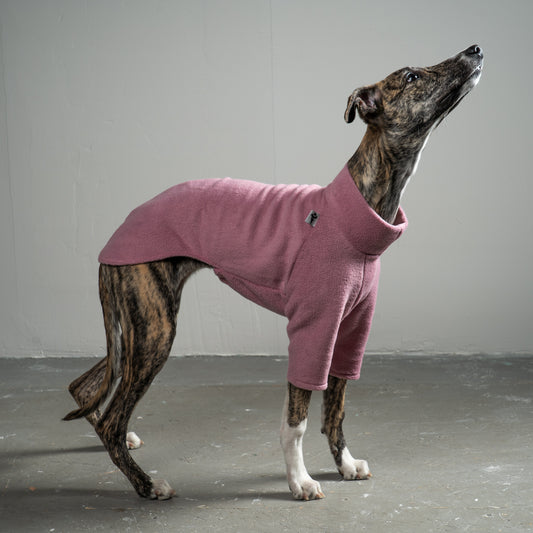Pullover Windhund Mulberry – hochwertige Hundekleidung für Dackel, Windspiele und Windhunde von Karma Hund Berlin – Ganzkörperansicht am Hund