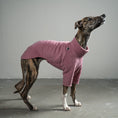 Bild in Galerie-Betrachter laden, Pullover Windhund Mulberry – Hundepullover und Hundekleidung für Dackel und Windhunde – Seitenansicht am Hund
