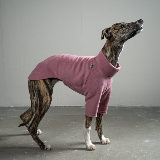 Pullover Windhund Mulberry – Hundepullover und Hundekleidung für Dackel und Windhunde – Seitenansicht am Hund