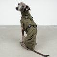 Bild in Galerie-Betrachter laden, SOFTSHELL HUNDEGESCHIRR Iggy Dark Olive
