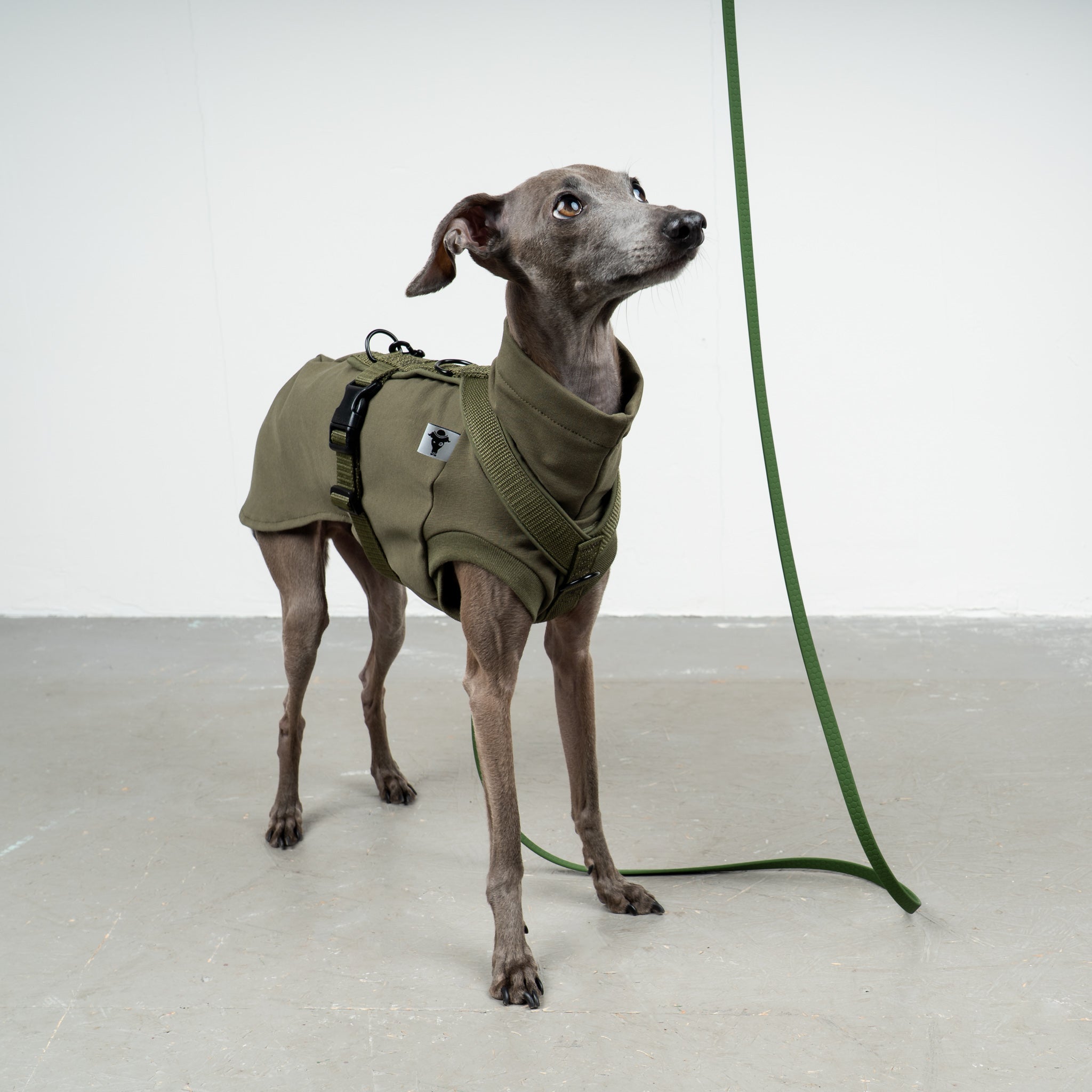 SOFTSHELL HUNDEGESCHIRR Iggy Dark Olive