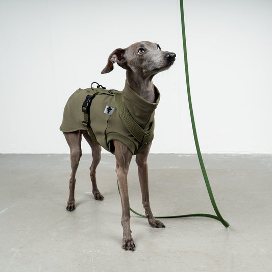 SOFTSHELL HUNDEGESCHIRR Iggy Dark Olive