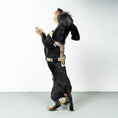 Bild in Galerie-Betrachter laden, SOFTSHELL HUNDEGESCHIRR Dackel Sand
