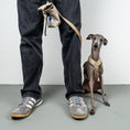 Bild in Galerie-Betrachter laden, SOFTSHELL HUNDEGESCHIRR Iggy Sand
