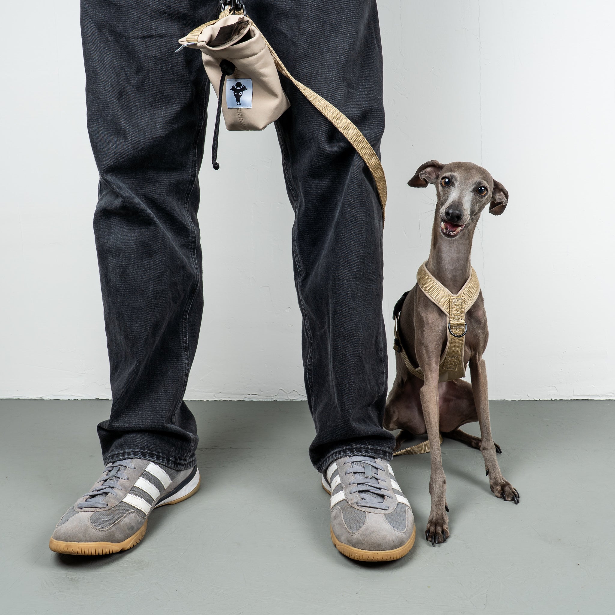 SOFTSHELL HUNDEGESCHIRR Iggy Sand