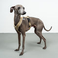 Bild in Galerie-Betrachter laden, SOFTSHELL HUNDEGESCHIRR Iggy Sand
