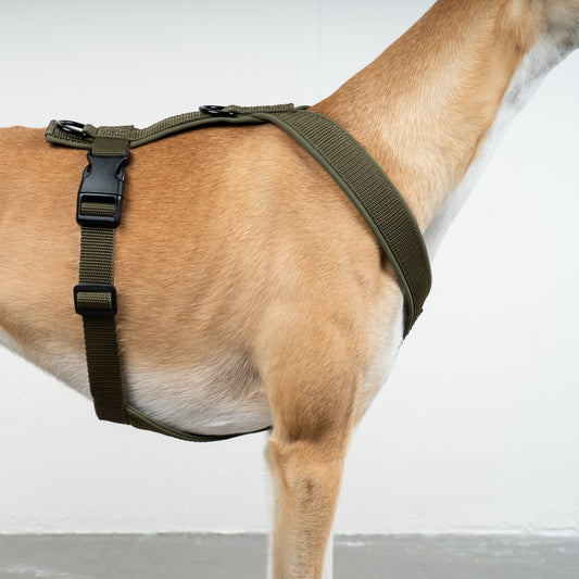 SOFTSHELL HUNDEGESCHIRR Windhund Dark Olive