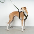 Bild in Galerie-Betrachter laden, SOFTSHELL HUNDEGESCHIRR Windhund Dark Olive
