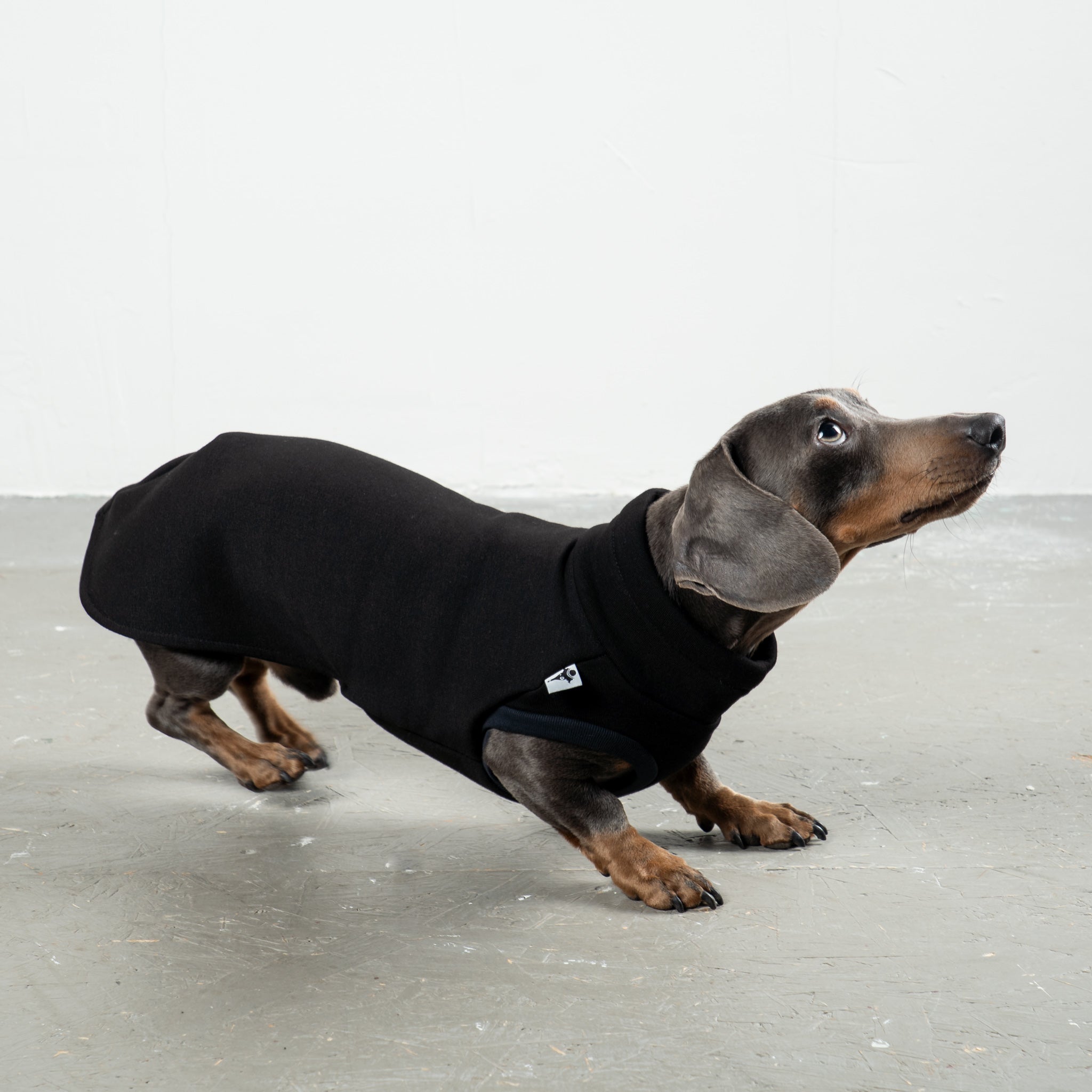 SWEAT SHIRT Dackel Schwarz