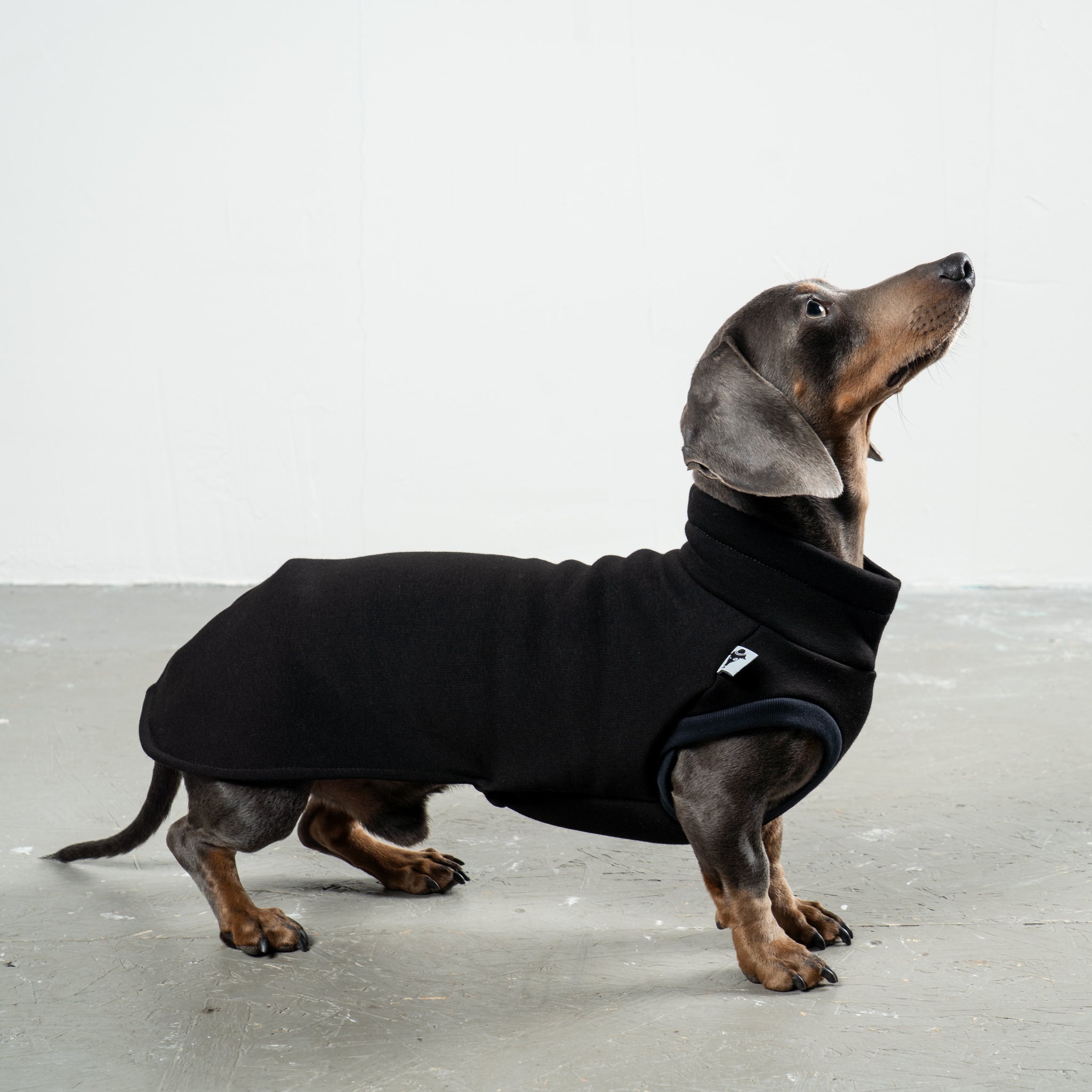 SWEAT SHIRT Dackel Schwarz