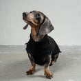 Bild in Galerie-Betrachter laden, SWEAT SHIRT Dackel Schwarz
