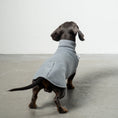 Bild in Galerie-Betrachter laden, SWEAT SHIRT Dackel Grey Melange
