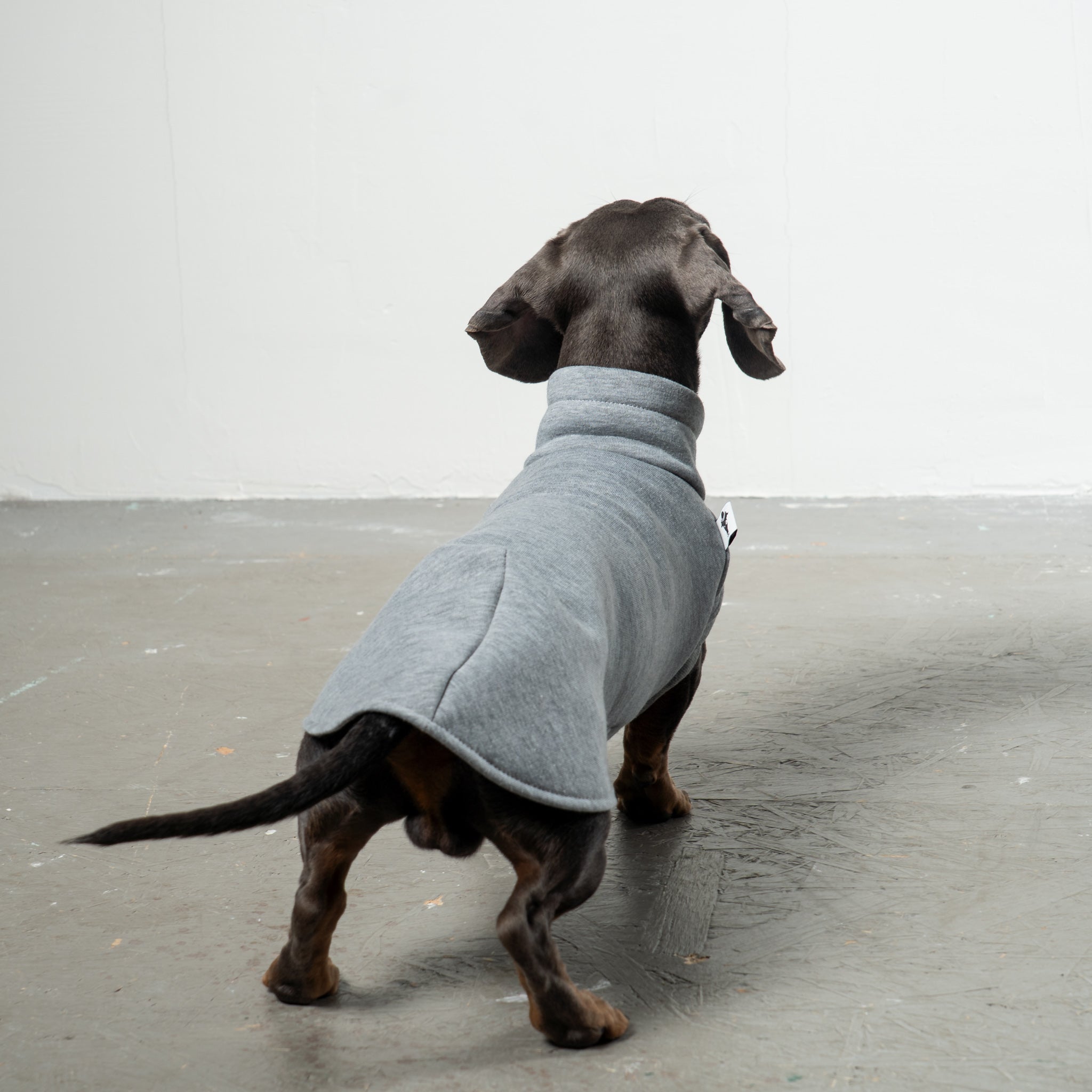 SWEAT SHIRT Dackel Grey Melange