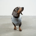 Bild in Galerie-Betrachter laden, SWEAT SHIRT Dackel Grey Melange
