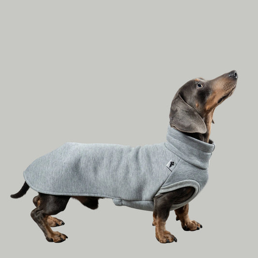 SWEAT SHIRT Dackel Grau meliert