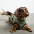 Bild in Galerie-Betrachter laden, Sweat Shirt Dackel Matcha – Close-up am Hund – hochwertige Hundekleidung von Karma Hund
