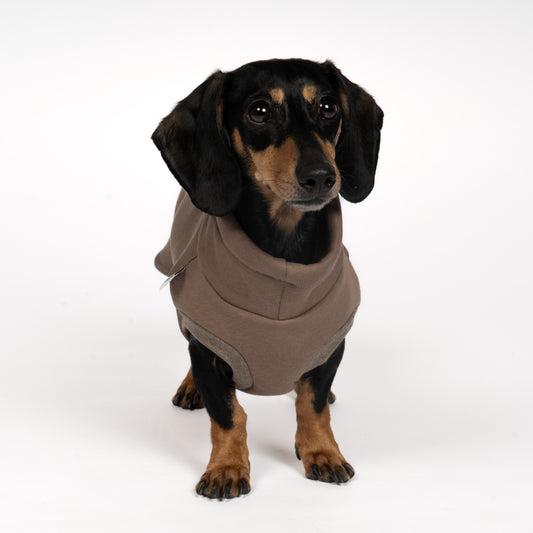SWEAT SHIRT Dackel Braun