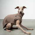 Bild in Galerie-Betrachter laden, SWEAT SHIRT Iggy Mokka
