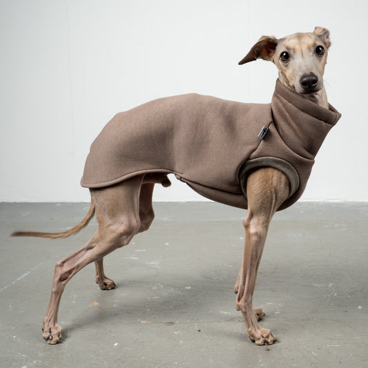 SWEAT SHIRT Iggy Mokka