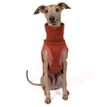 Bild in Galerie-Betrachter laden, Sweat Shirt Iggy Terracotta – ergonomischer Schnitt für Dackel, Windspiele und Windhunde – handgefertigte Hundekleidung
