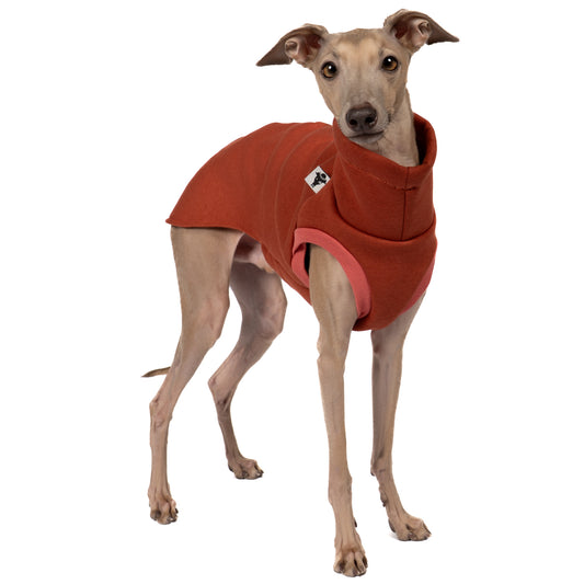 Sweat Shirt Iggy Terracotta – hochwertige Hundekleidung für Dackel, Windspiele und Windhunde von Karma Hund Berlin – Ganzkörperansicht am Hund