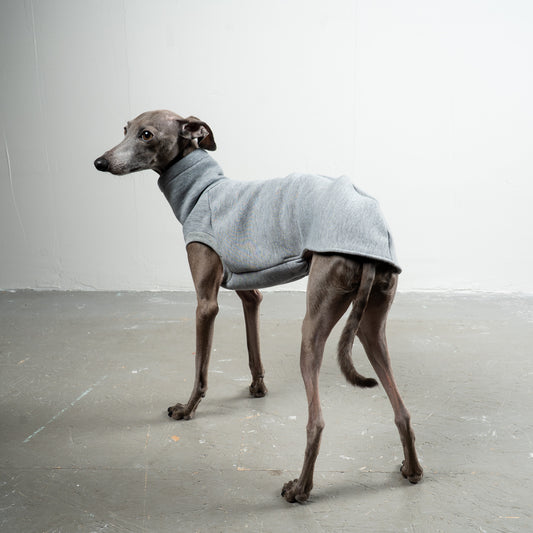SWEAT SHIRT Iggy Grau meliert