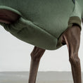 Bild in Galerie-Betrachter laden, SWEAT SHIRT Iggy Matcha
