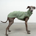 Bild in Galerie-Betrachter laden, SWEAT SHIRT Iggy Matcha
