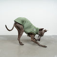 Bild in Galerie-Betrachter laden, SWEAT SHIRT Iggy Matcha

