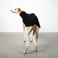 Bild in Galerie-Betrachter laden, SWEAT SHIRT Windhund Schwarz
